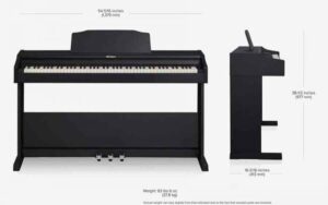 Roland RP102 tienda